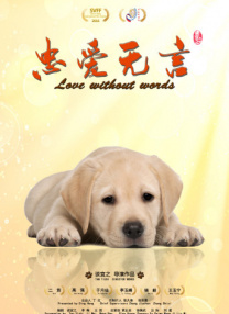 在线观看不卡av